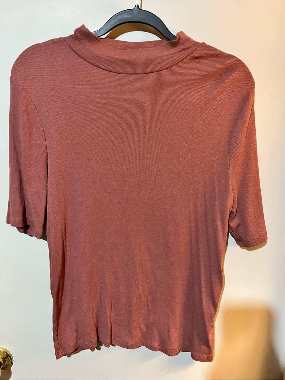 Women's Mock Neck 3/4 length Sleeve Top in Rust